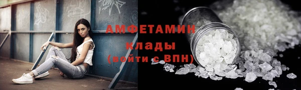 дживик Надым