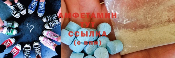 дживик Надым