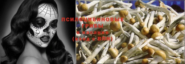 дживик Надым