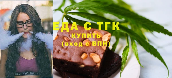 дживик Надым