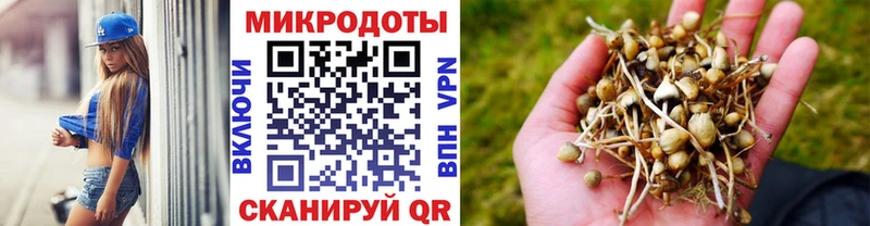 дарк нет официальный сайт  Казань  Галлюциногенные грибы мицелий 