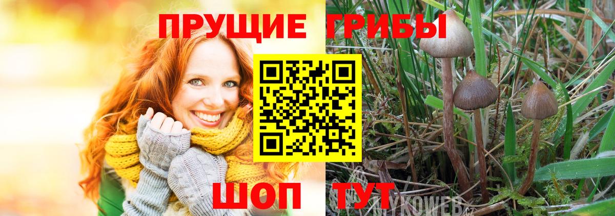 Казань  Псилоцибиновые грибы мухоморы  Вход с VPN 
